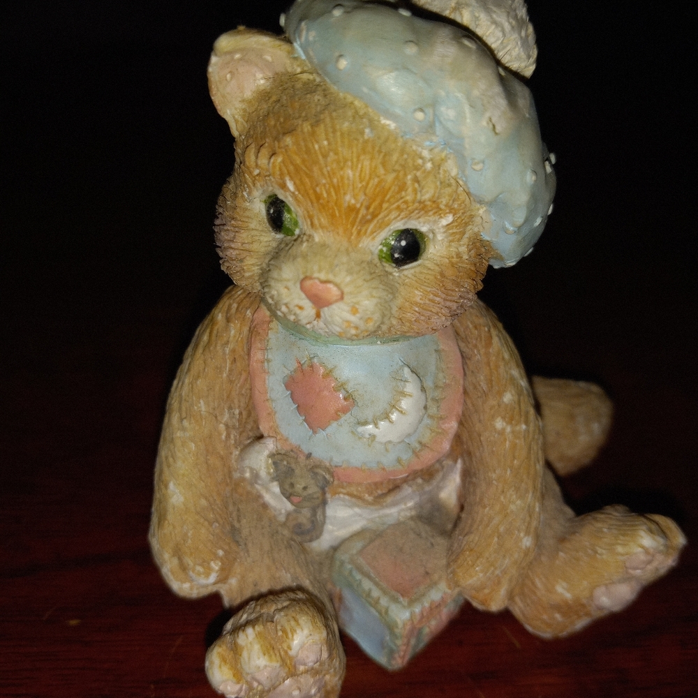 Pair of Calico Kittens